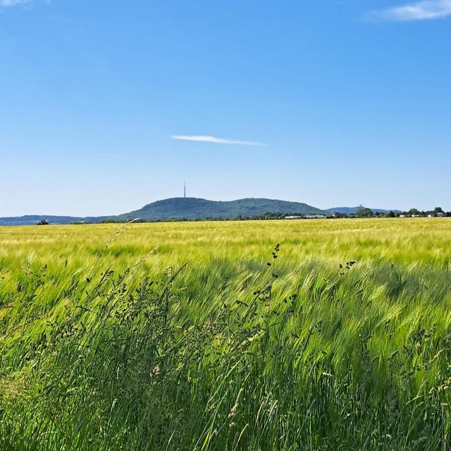 Ferienwohnung Mit Bauernhofflair Loebau Luaran gambar